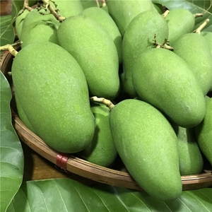 【云南酸芒果腌制】云南酸芒果腌制品牌,价格 - 阿里巴巴