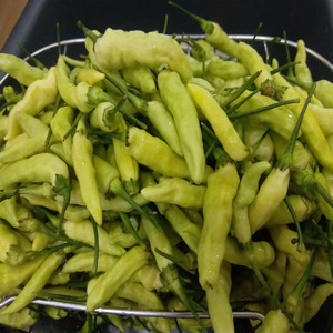 8016人付款淘宝云南西双版纳特产柠檬辣椒沾水菜包鱼蘸水调料泰式傣味