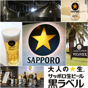 日本进口 札幌啤酒 (生) SAPPORO 黑标 三宝乐 KURO Label 罐 瓶