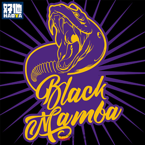 湖人队24科比布莱恩特8号黑曼巴蛇纪念短袖t恤纯棉半袖运动情侣装