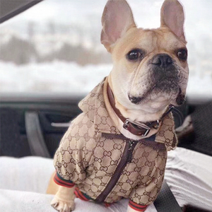 恶霸犬专用衣服外套老花英斗法斗牛犬胖狗狗潮牌宠物成年春秋巴哥