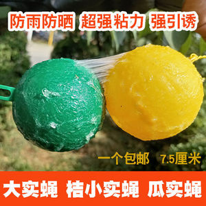 诱蝇球柑橘大实蝇桔小实蝇粘虫球果蝇球诱捕球粘蝇球果园食蝇沾球