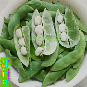 250人付款天猫新鲜白芸豆洋扁豆当天采摘白豆农家自种剥壳真空250g