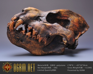 奥格瑞玛 史前动物 巨鬣狗头骨模型 1:1 沥青矿色 现货