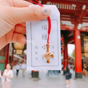 国现 浅草寺御守护身符平安开运求福招财姻缘健康rx 蝴蝶控日本