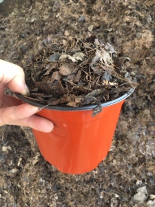 君子兰腐叶土添加木炭  高温发酵 凉干20元5.8斤包邮 偏远除外