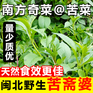 闽北现摘野生苦菜苦斋婆酱败草苦抓干货野菜苦丁菜苦碟子500g包邮