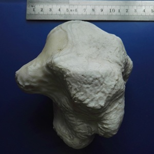 新疆罗布泊蛋白石 象形石 完整 826克 尺寸11.5x11x6.5厘米