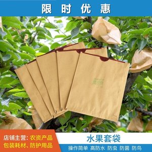 套水果的纸袋 专用 果树桃子袋套袋神器农用防鸟防虫桃袋保护袋