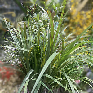 仿真蝴蝶兰叶子高品质手感兰花叶剑兰叶蕙兰叶插花装饰配叶4人付款13