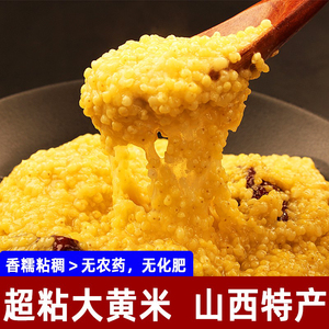 2023山西特产新大黄米端午包黄米粽糯小米粘黍米腊八粥黄糯米2斤