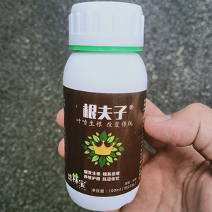 盛林宝根夫子生根剂植物花卉盆栽果蔬生根液可喷施可浇灌扦插移栽