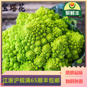 现货有售夏季新上市新鲜蔬菜意大利宝塔花菜罗马花椰菜佛头菜500g