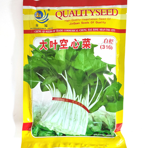 金冠白梗大叶空通心菜种籽基地种植大圆叶白空心菜种子四季应菜籽