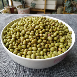 广西巴马特产青皮黄豆土黄豆5斤农家自种绿皮无化肥无农药