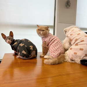 猫咪狗狗四脚衣宠物连体衣矮脚猫衣服纯棉弹力背心防掉毛术后服