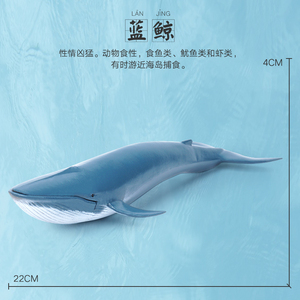 蓝鲸正版玩具仿真动物模型海洋生物鲨鱼鲸鱼海豚企鹅海龟摆件儿童