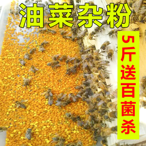 油菜杂花粉颗粒养蜂青海强蜂食用纯正纯天然中意蜜蜂饲喂新粉蜂粮