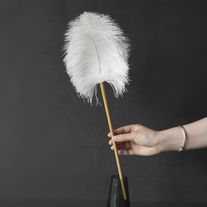 清新风白色鸵鸟羽毛掸子北欧简约装饰家用扫灰除尘神器掸子禅子