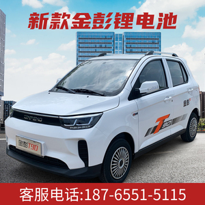 金彭新能源电动汽车女性成人四轮车家用全封闭代步两用锂电瓶轿车