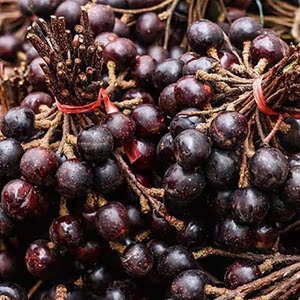 云南德宏胭脂果鬼眼睛果新鲜水果酸酸甜甜新鲜上市孕妇零食当季