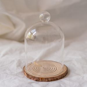 ins永生花玻璃罩家居摆件装饰透明圆形玻璃球罩