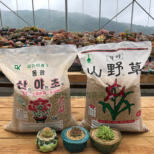 韩国进口山野草多肉栽培土控型增色营养混合配比颗粒土种植铺面