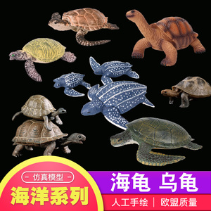 儿童仿真海洋野生动物龟模型鳄龟海龟陆龟象龟草龟金钱龟玳瑁礼物