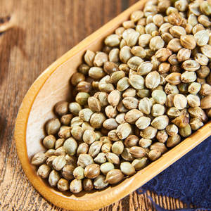 小粒麻籽火麻子