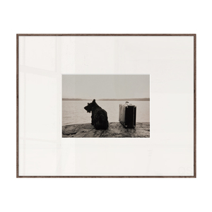丘山生活湖边的小狗黑白摄影装饰画照片墙画风景奶油风挂画酒店民