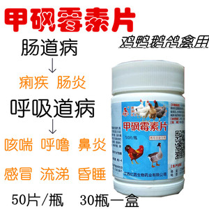 兽用药甲砜霉素片禽药小鸡糊肛白痢药片猪牛羊鸡鸭肠道细菌性感染