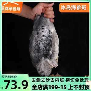 海参斑鱼 特大新鲜冰岛进口深海鱼2.5-3斤海鲜水产石斑鱼冷冻斑鱼