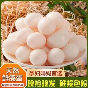 农家散养鸽子蛋新鲜30枚孕妇宝宝辅食精选土鸽子蛋杂粮白鸽蛋包邮