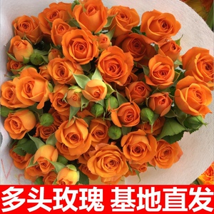 多头玫瑰花泡泡云南昆明鲜花花束橙色芭比 满5件包邮