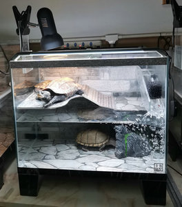 乌龟缸带晒台玻璃缸深水龟专用缸50长背滤缸缸底阀门排水金龟别墅