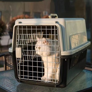 猫包外出便携大容量猫咪太空舱背包大容量航空箱手提式宠物行李箱