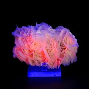 玫瑰花白色片状锰方解石原矿石奇石学生礼物矿物晶体摆件收藏标本