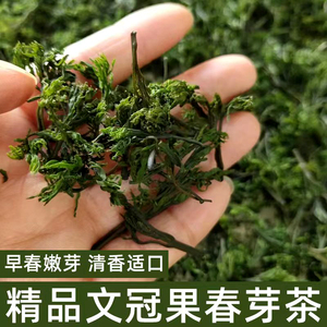 文冠果芽茶2022年春季头茬新茶甘肃白银特产级文官茶叶文冠果花茶