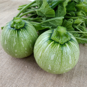 农家新鲜菜自种绿皮迷你小嫩南瓜切丝青瓜农产品时令蔬菜4斤包邮