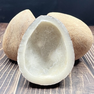 整个无汁大椰子皇小椰干海椰皇干肉海底椰王餐饮商用炖煲汤非印度