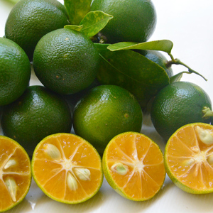 越南新鲜酸爽薄皮多汁青金桔2斤迷你小柠檬青柠包邮奶茶店材料