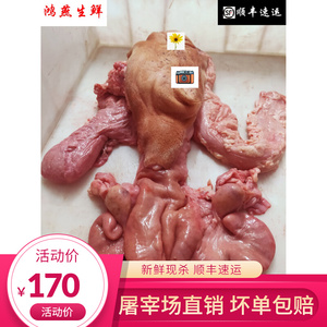 新鲜牛欢喜带外阴母牛子宫输卵管卵巢牛逼二姐培训整套生殖器