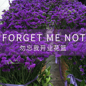 【勿忘我开业花篮】勿忘我开业花篮品牌,价格 - 阿里巴巴