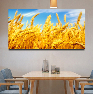 五谷丰登装饰画 水稻 稻田画麦穗装饰画餐厅画五谷图 丰收挂画
