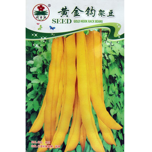黄金钩架豆王种子 特种蔬菜 阳台庭院种植 蔬菜 春夏季播豆角种子