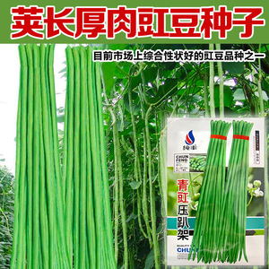 彩包蔬菜种子 长豆角 白绿色 摘不败早熟一号 荚长可达90厘米春季