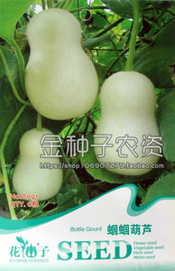 【蝈蝈葫芦种子】 小葫芦种子 观赏鸣虫葫芦种子 盆栽蔬菜种