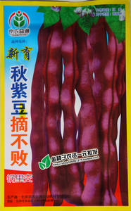 秋紫豆豆角种子芸豆蔬菜种子 红豆角 锅里变色 春秋播种 庭院种植