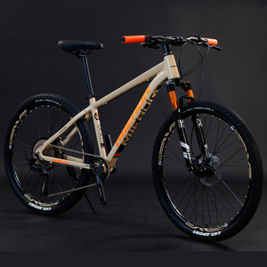 00tb_colourstyle淘宝精品16寸钛合金山地越野am单车11速林道自行车