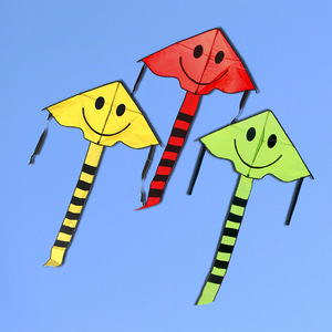 90tb5739432_2012淘宝潍坊风筝鸿运天堂鸟立体前撑杆蝙蝠风筝树脂杆